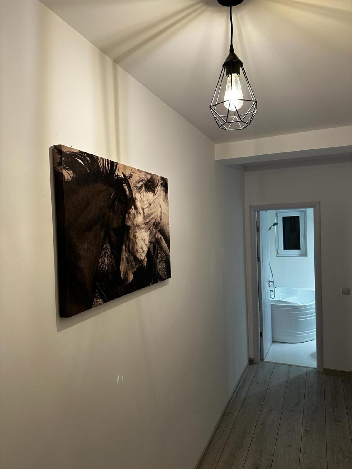 Best Apartment Suceava Extérieur photo