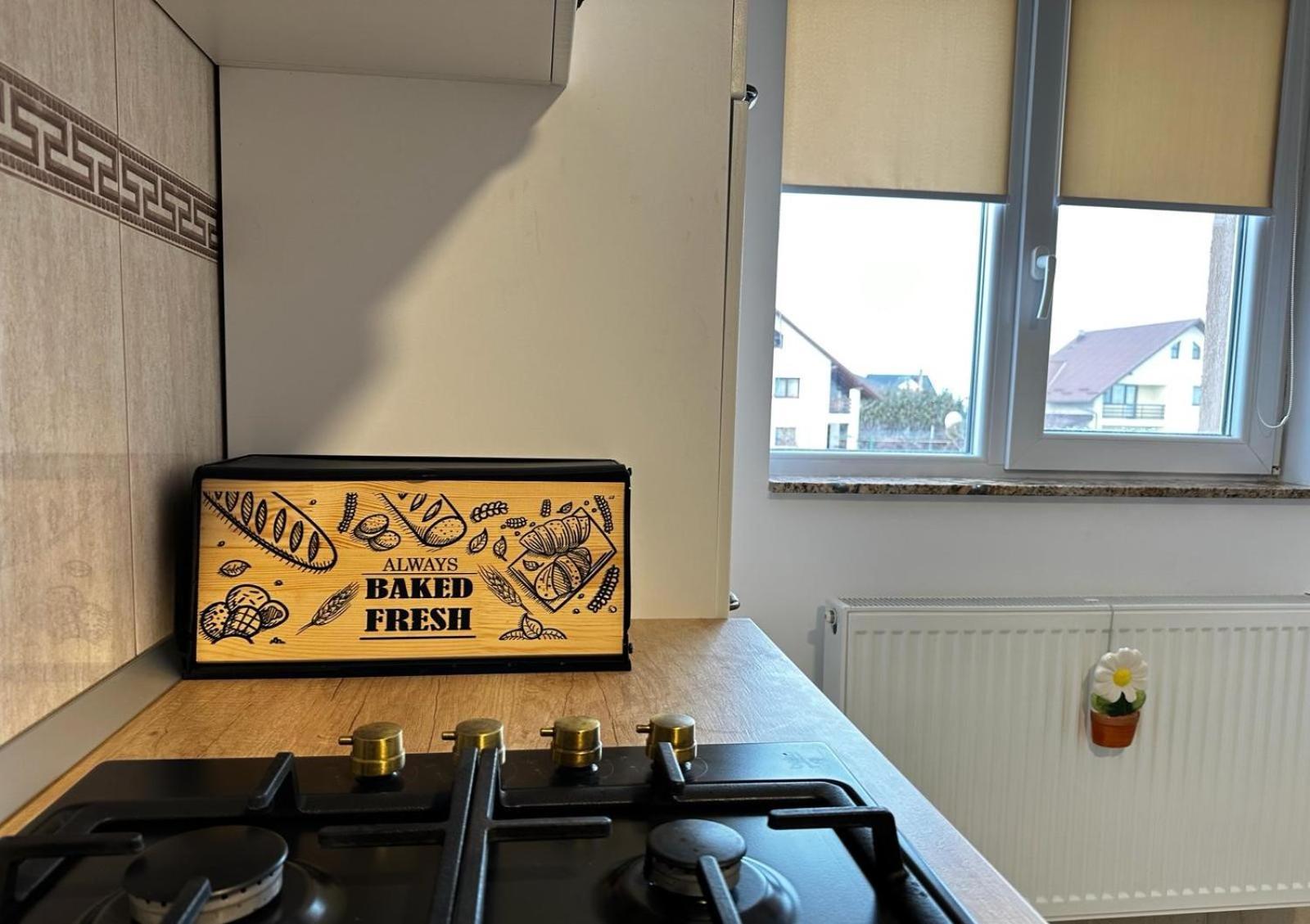 Best Apartment Suceava Extérieur photo